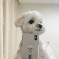 zhuyifan's avatar